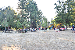 LAURELHURST BACKYARD BBQ 2018